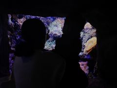 -南昌海洋公园
