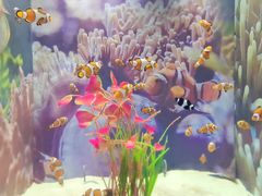 -烟台海昌鲸鲨海洋公园