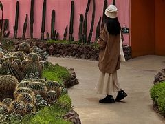 -正佳雨林生态植物园