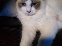 -零纪元VR体验馆·桌游(黄浦店)