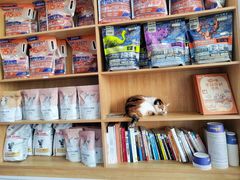 -佑安动物医院·全科·内窥镜中心(幸福巷店)