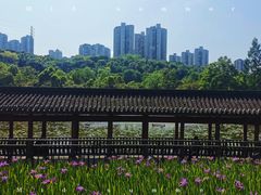 -龙头寺公园