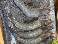 -巷子里地摊烤肉(汉沽店)