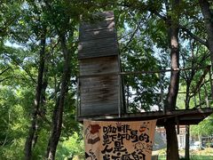 -大塘金香草谷