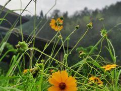 -天芳悦潭度假村温泉