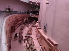 -陕西自然博物馆