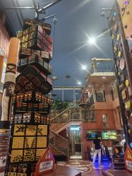 -卡通尼·Safari非洲探索乐园·生日会(金桥国际商业广场店)