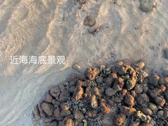 -临高角