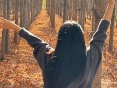 -羊亭河湿地公园