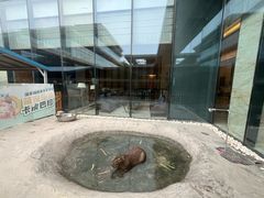 -廊坊固安福朋喜来登酒店