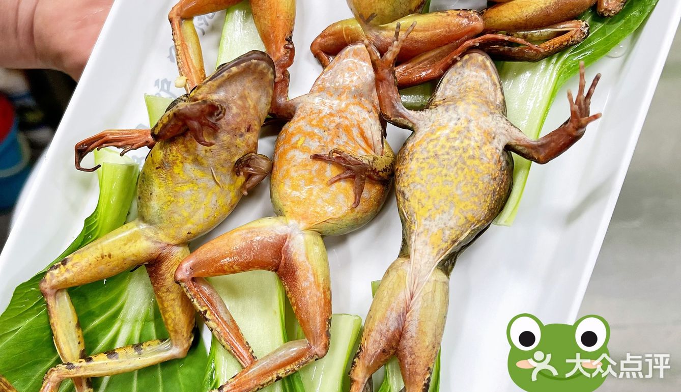 北京探店｜推给爱吃林wa的朋友们🐸香嫩无比！
