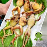 北京探店｜推给爱吃林wa的朋友们🐸香嫩无比！