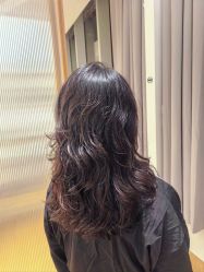-程Studio