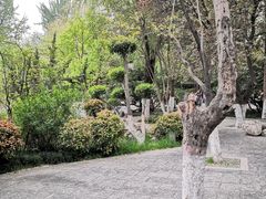 -莲湖公园