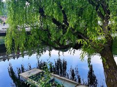 -贵阳市花溪国家城市湿地公园
