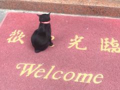 -载阳客栈