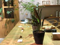 -柴务处·柴犬主题狗咖