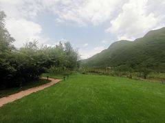 -金岳台私汤温泉度假山庄·创意餐厅(昌平十三陵店)