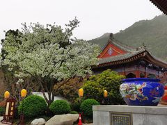 -华清宫景区