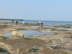 -巧克力渔家.小船海鲜胶东菜(万平口店)