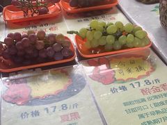 -马陆小张葡萄园农家乐