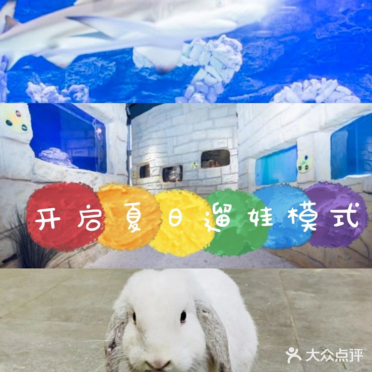 动物很可爱，喂食还是得小心一点，不要喂食太多呦！