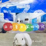动物很可爱，喂食还是得小心一点，不要喂食太多呦！