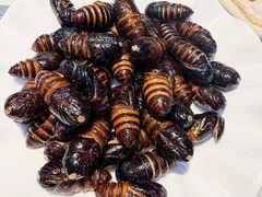 -小胖私厨状元宴·东北私房菜馆