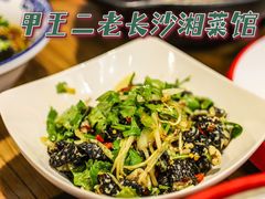 -甲王二老长沙口味馆