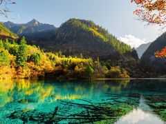 -西郊国际农产品交易中心