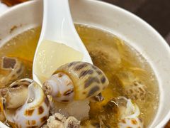 花螺萝卜汤-顺和隆炖罐