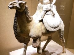 -宁夏博物馆