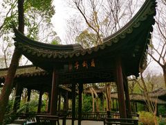 -上海佘山国家森林公园天马山园