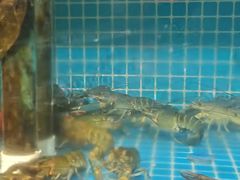 -三妹小龙虾·黄油蟹(华侨城总店)