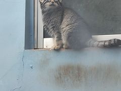 -青藏高原野生动物园