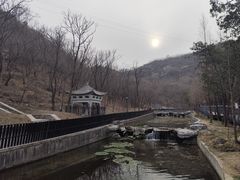 -白水寺森林公园