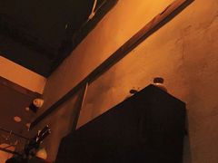 -Mr.Fox狐狸先生超级密室(南山店)