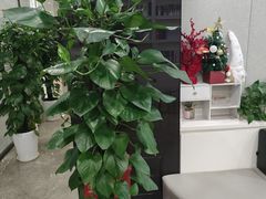 -谢冬律师团队·专注离婚案件·君澜律所