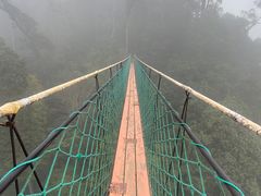 -云南屏边大围山国家公园