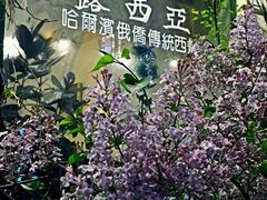 招牌-露西亚咖啡西餐厅(哈尔滨俄侨纪念馆店)