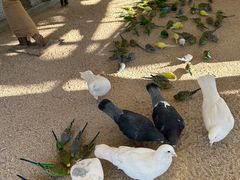 -珠海海泉湾神秘岛亲子乐园