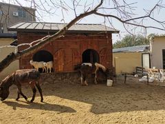 -HERRE·FARM 赫尔露营农场·团建聚会包场