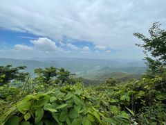 -莫干山风景区