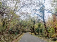 -大蜀山国家森林公园