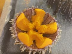 -海胆小馆(东北水饺·春柳店)