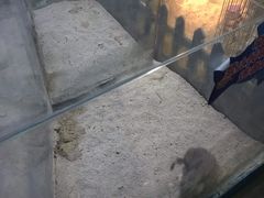 -常州海昌海洋探索馆