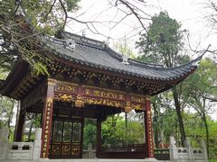 -汇龙潭