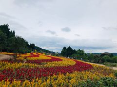 -中国香山·寿香谷