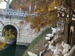 -厦门园林博览苑