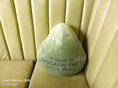 -油梨树AVOCADO TREE(顺义新国展店)